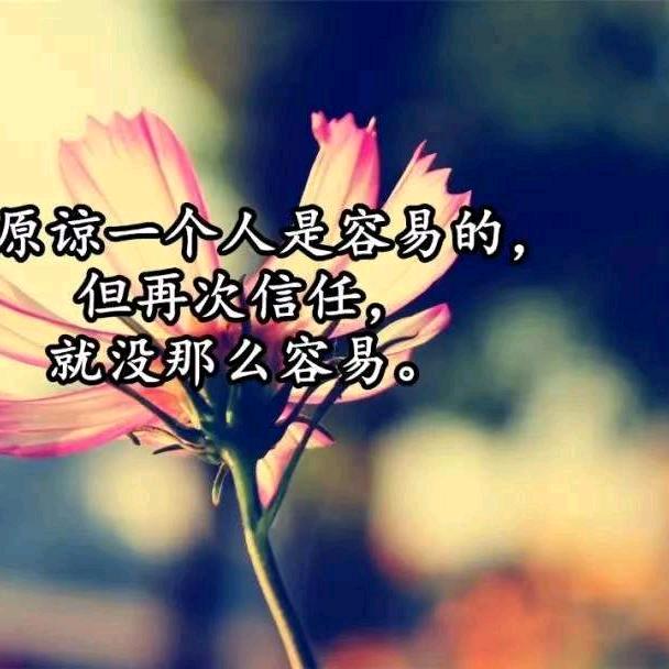 ꧁༊🌹᭄忘💞᭄忧ృ草🌴꧂