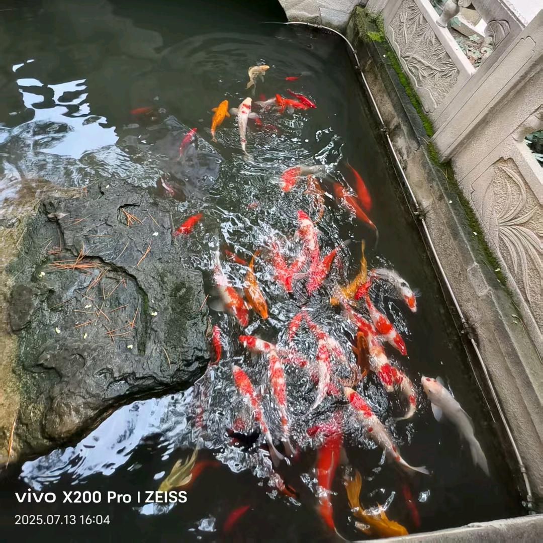 好运