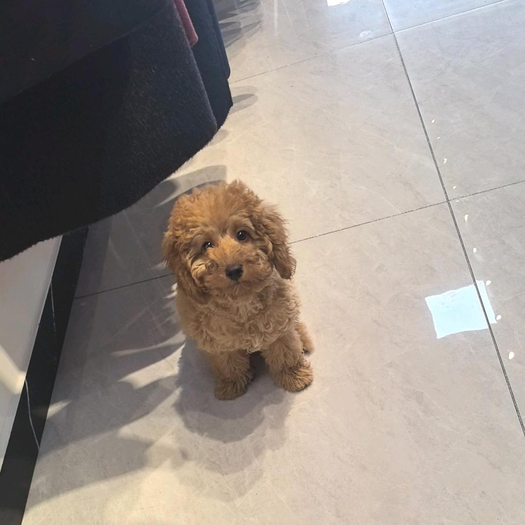 公益宣传人