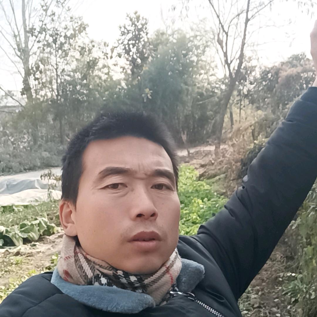 镇平刘一手