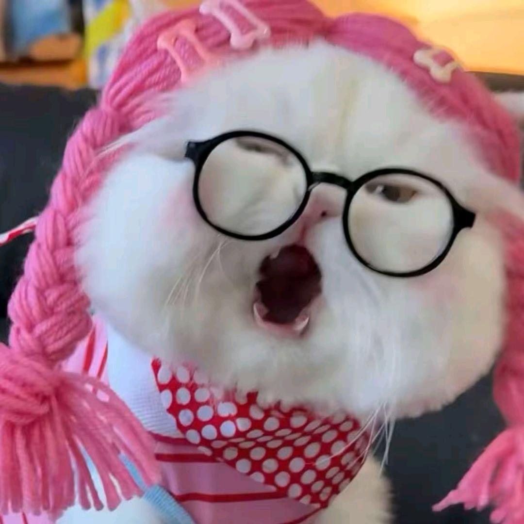 嘟嘟嘟嘟囔⭐️💖