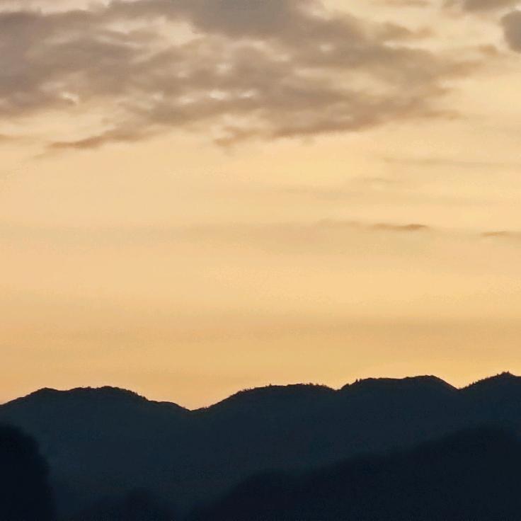 夜深深🦁️³  ²  ²