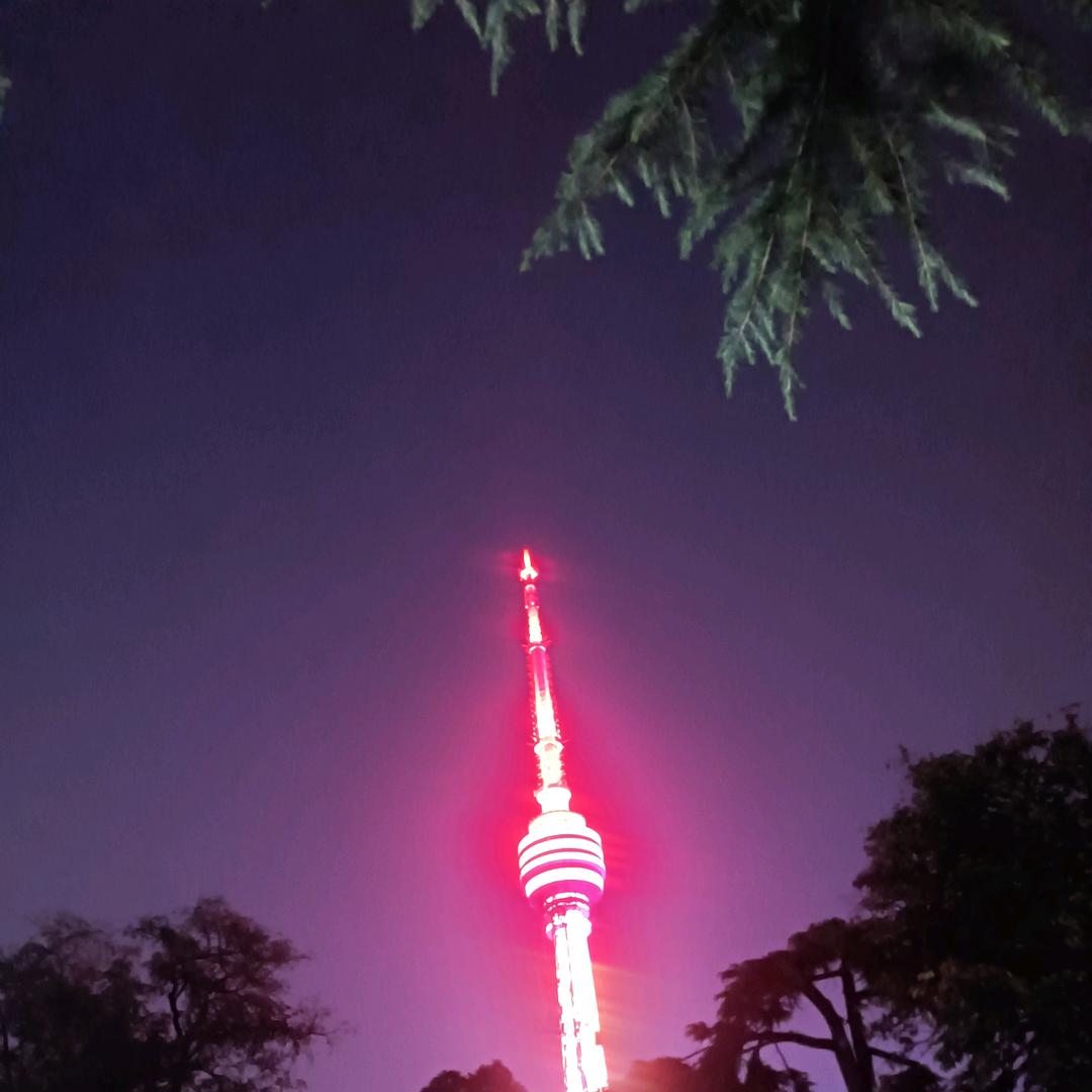 努力赚钱