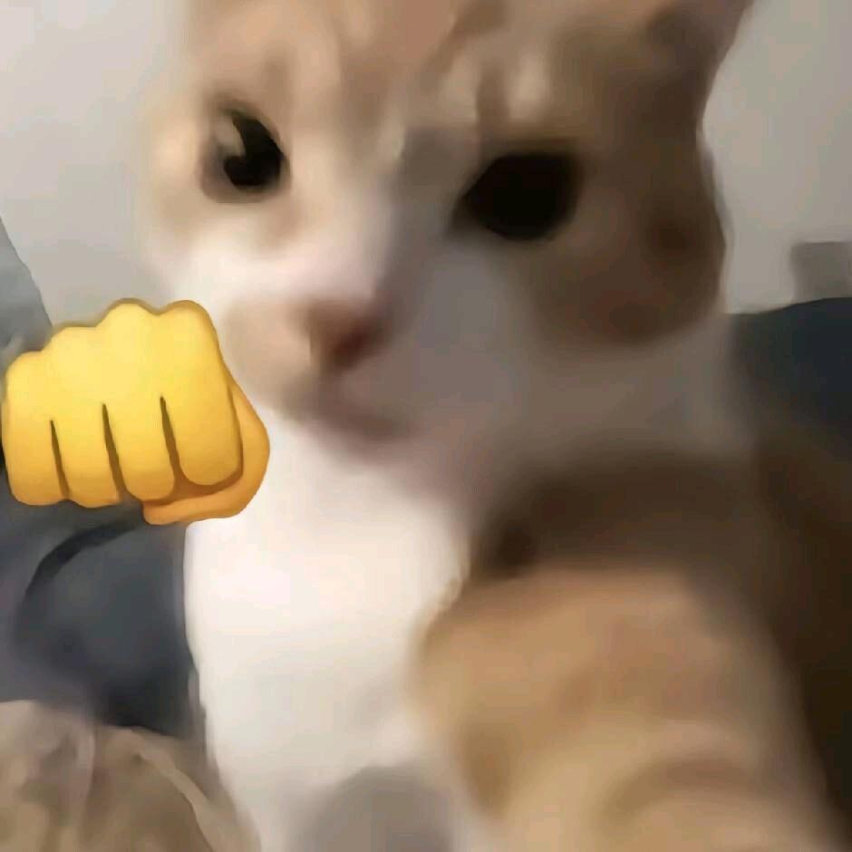 再等冬天.