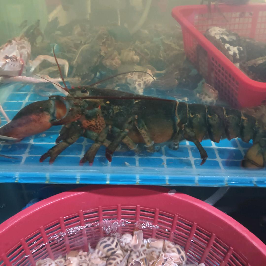 抖抖于乐