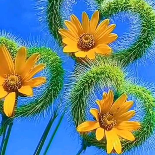 ꦿ💞ღ᭄回᭄꧔忆💞এ᭄