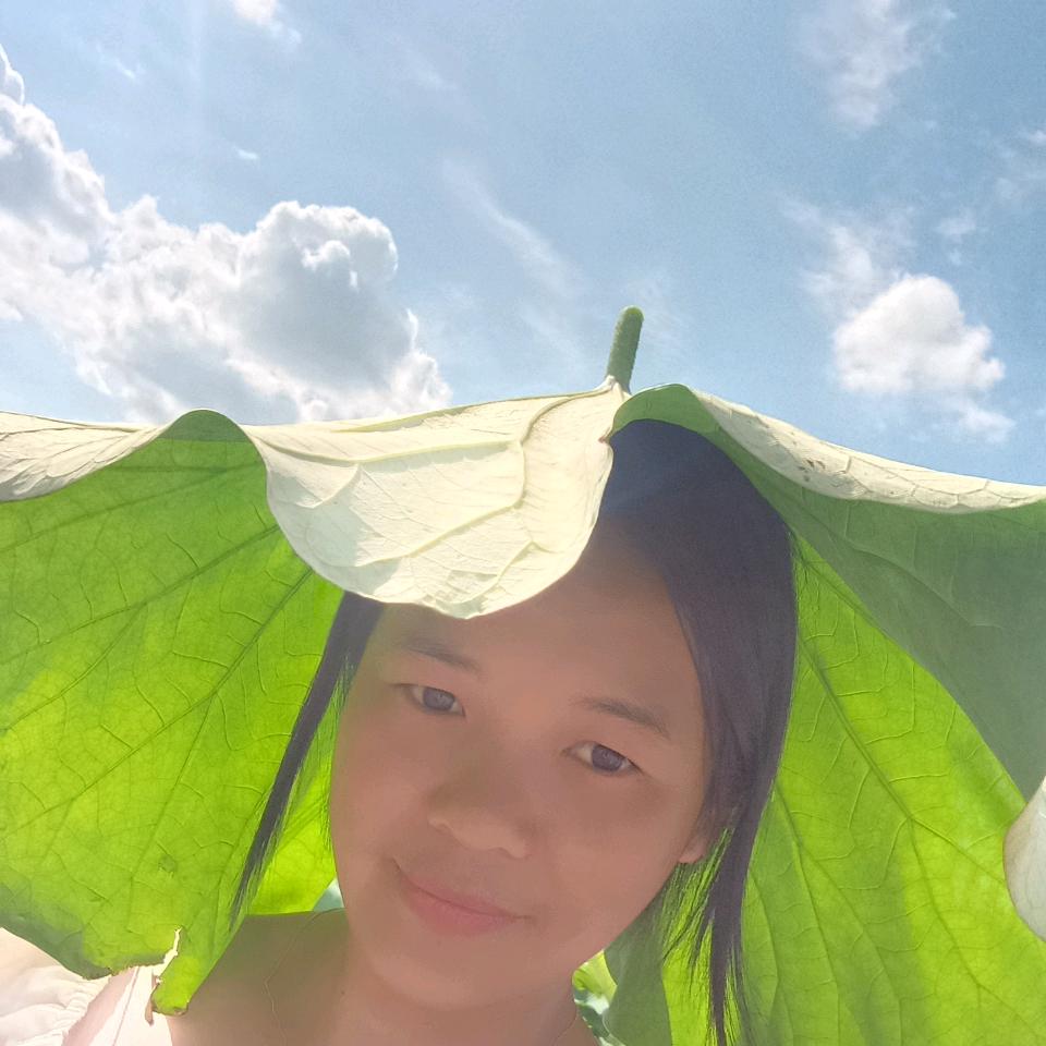 心寒如冰