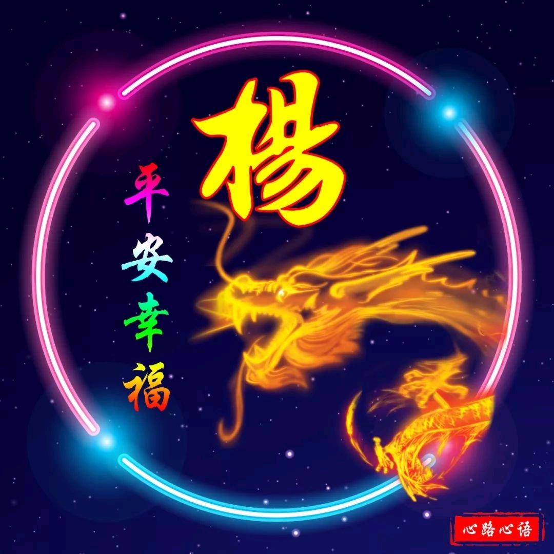 81号杨🤝🤝👌👌🌷养号中🌷