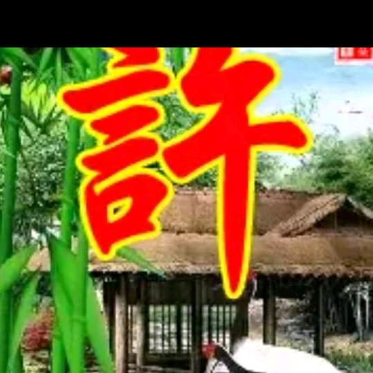 许氏家族！！靓靓哥