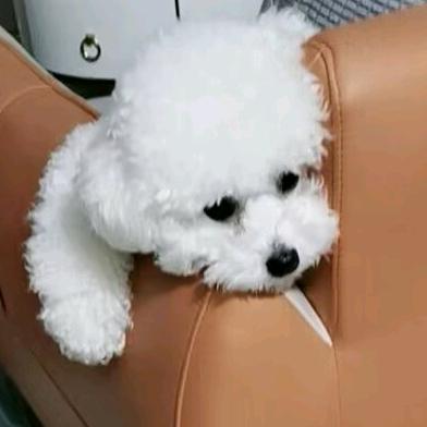 宝..