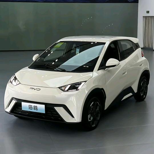 比亚迪海鸥（线上体验官）