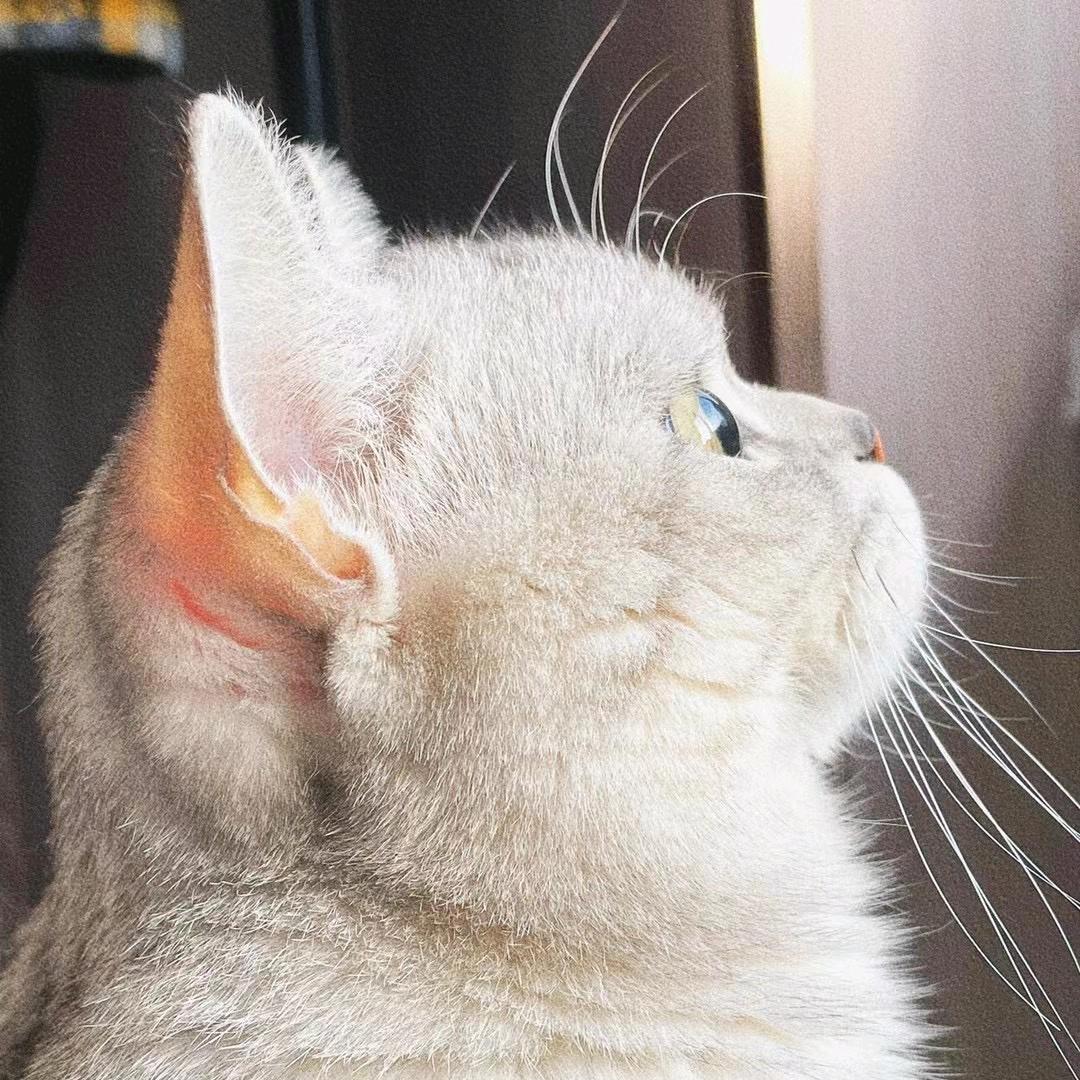 宅基地文化传媒责任有限公司