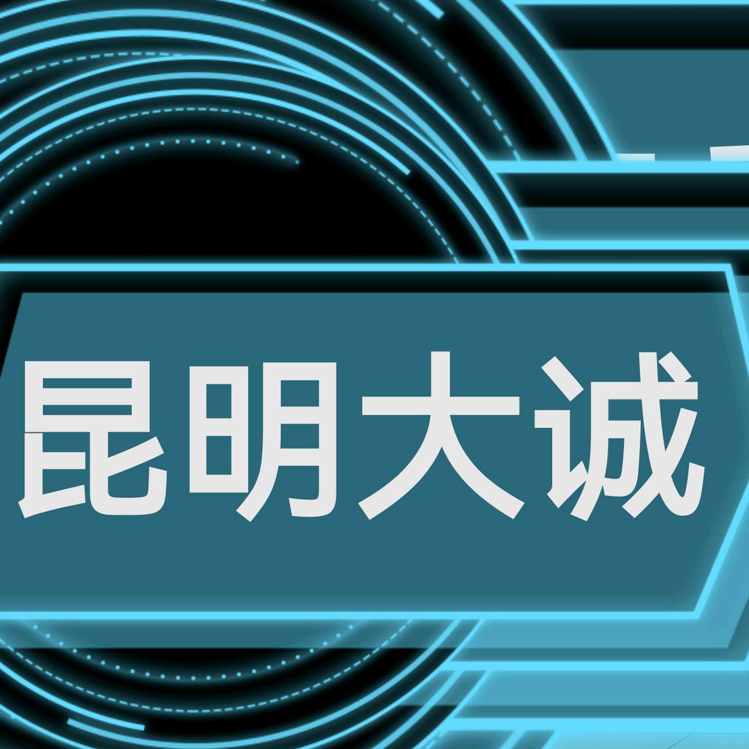 昆明大诚二手车