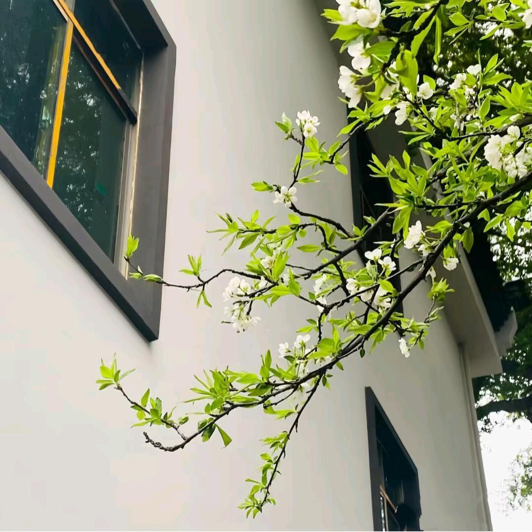 洛冰宥宁