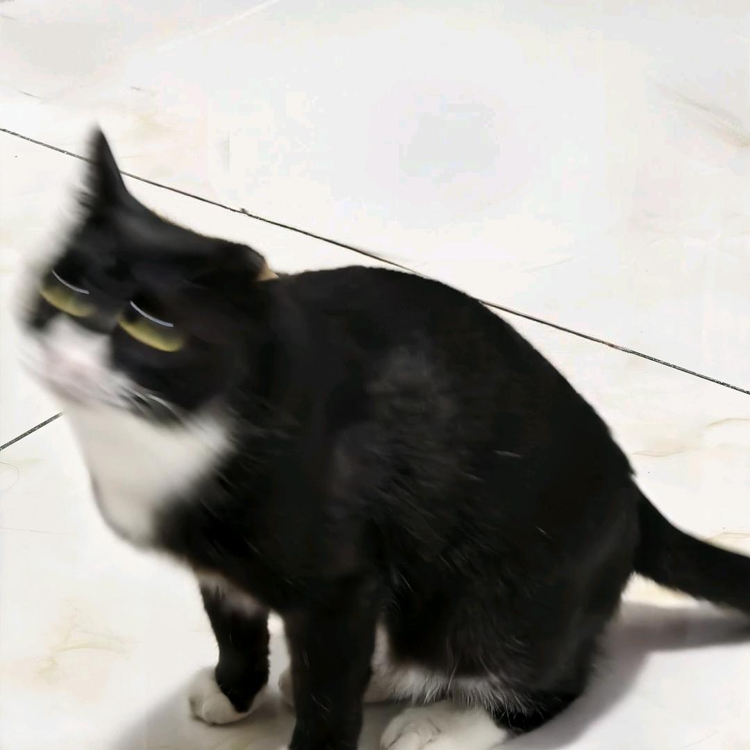 醉後一局