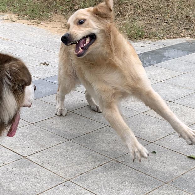 援藏干部喜洋洋