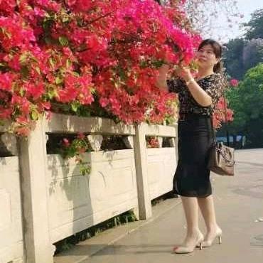 朵朵