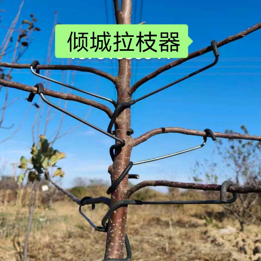 倾城拉枝器厂家店