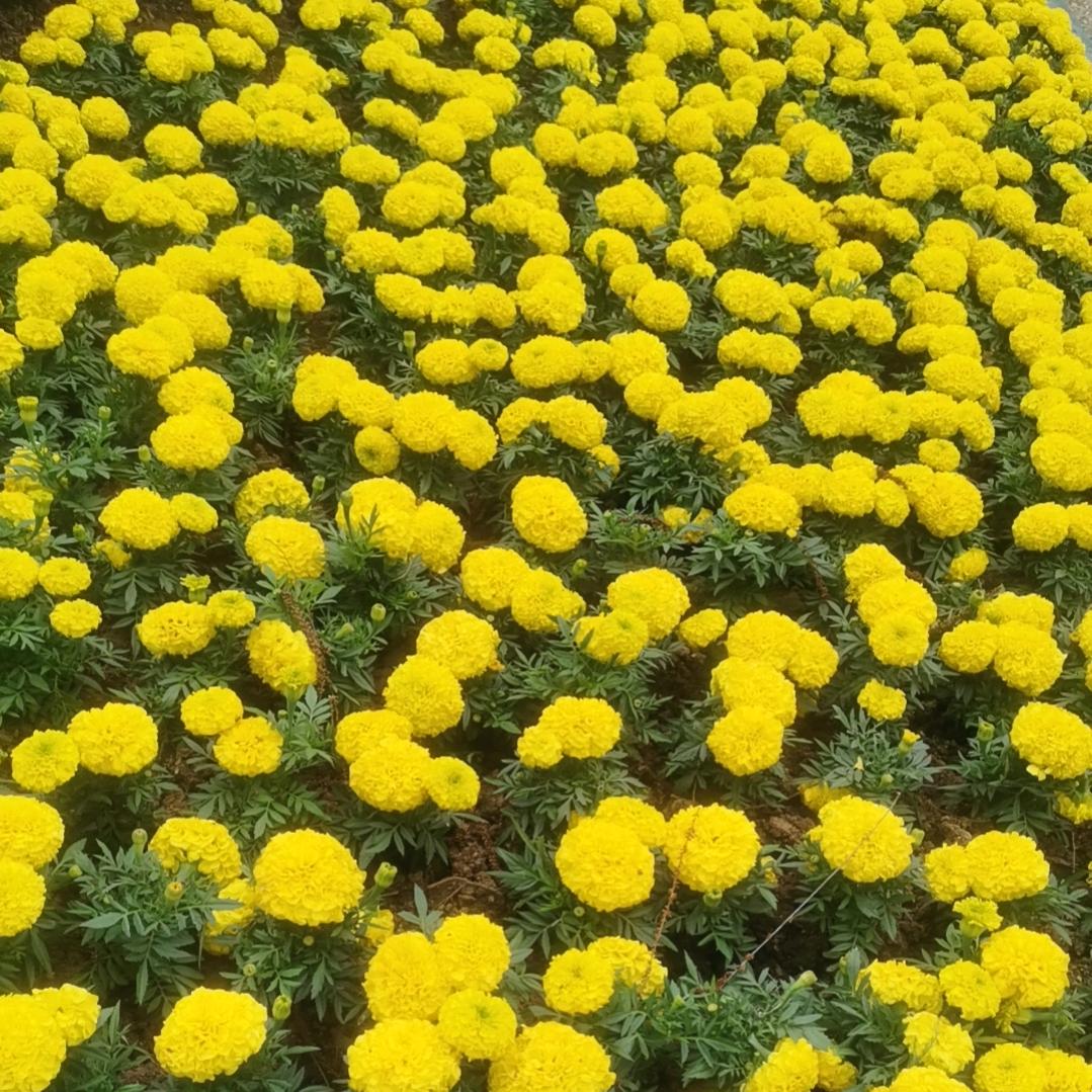 小钰🎤首播2点45分