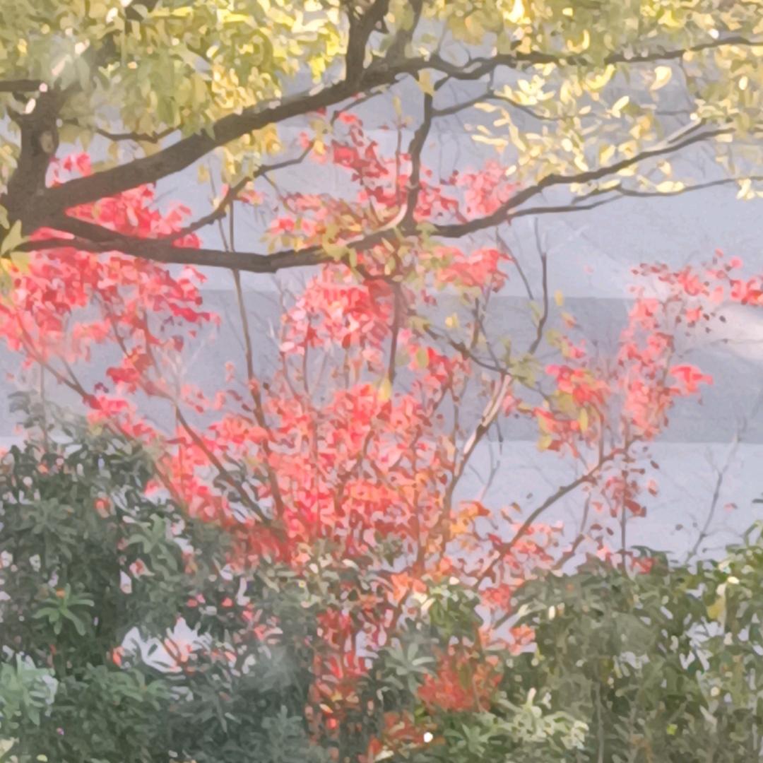 景子