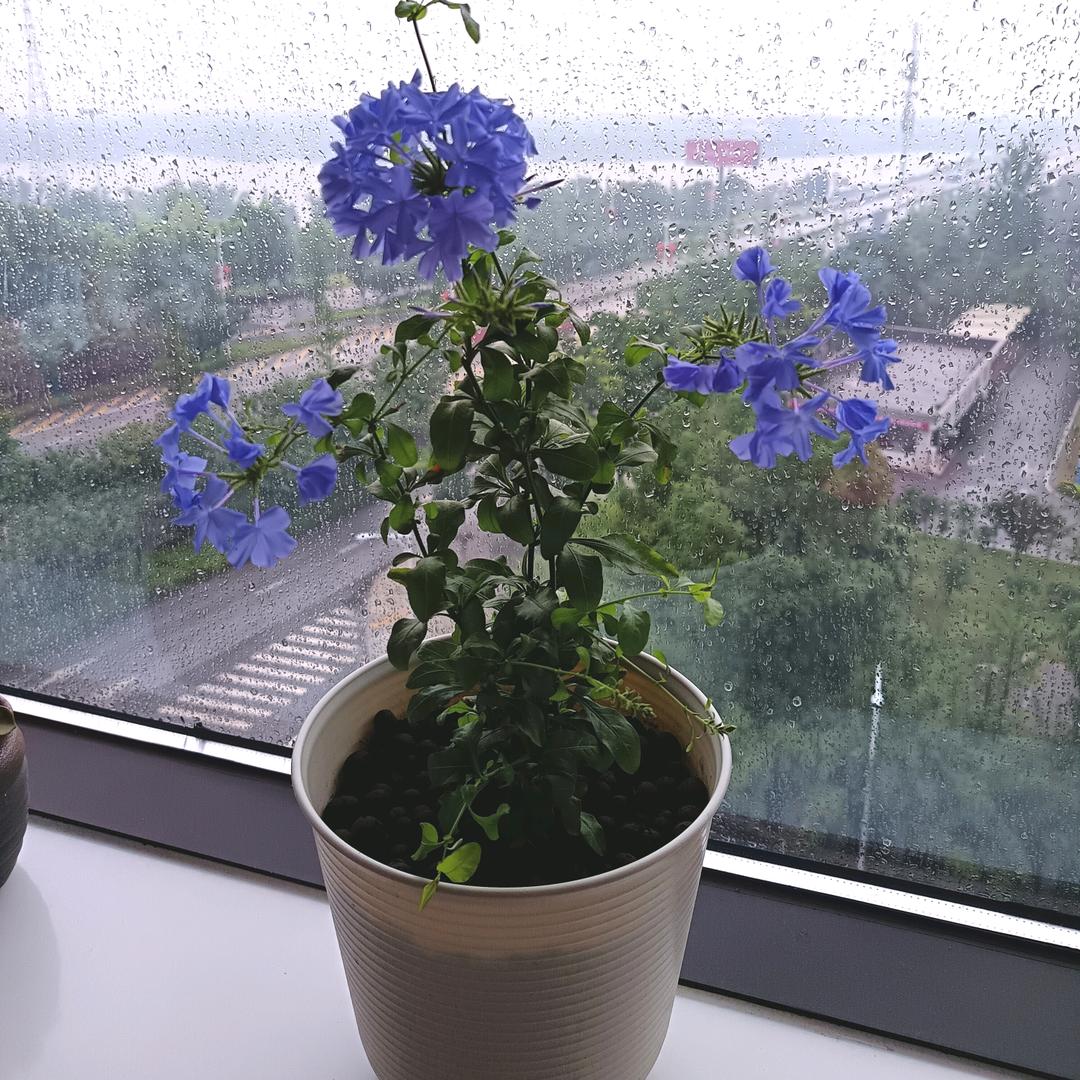 文诚专业水电