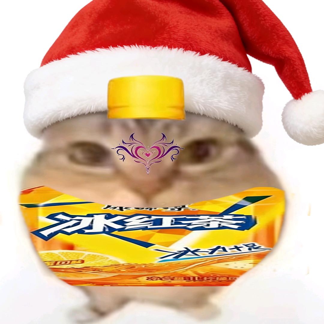 WR冰红茶（圣诞限定）