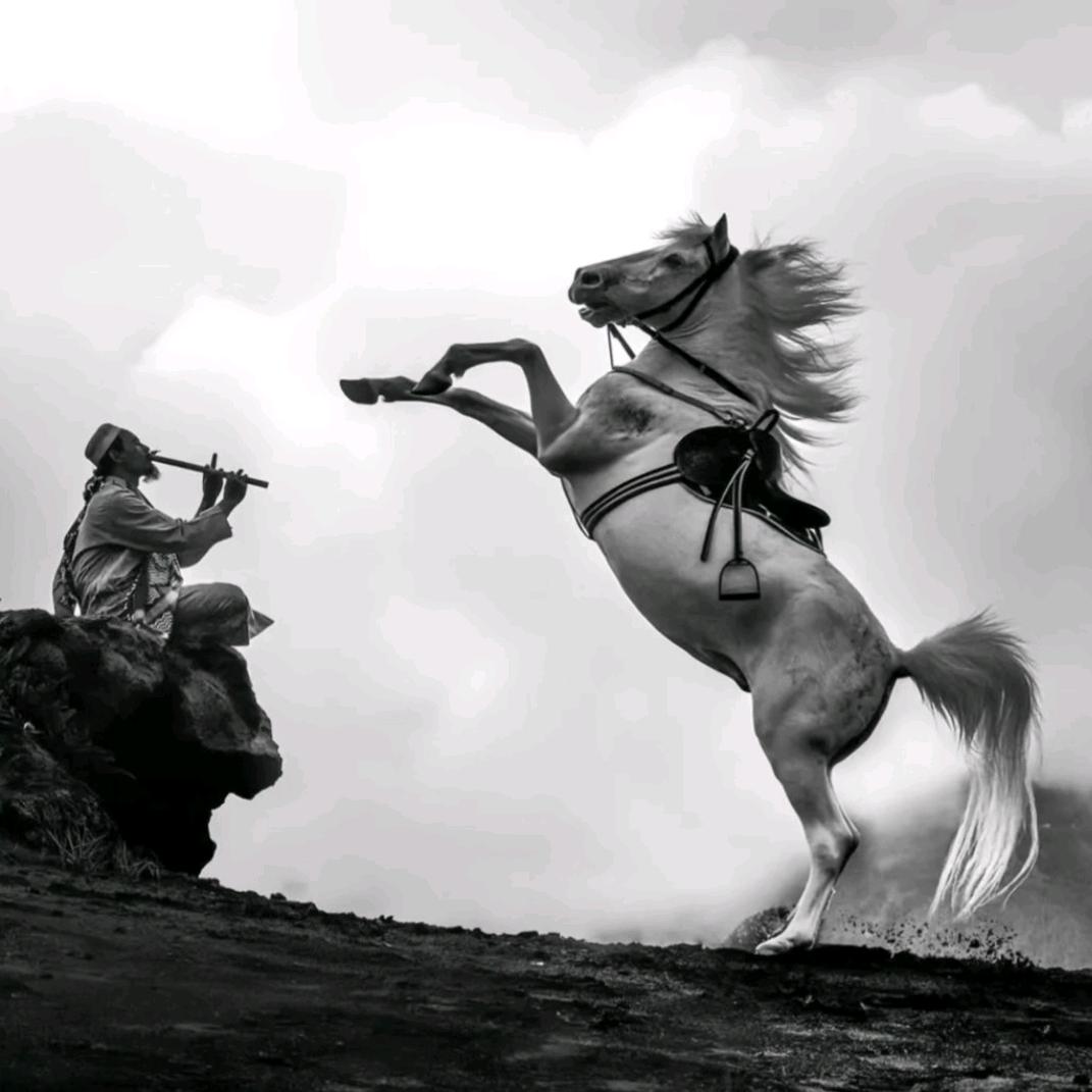 河北正宇刘东岳