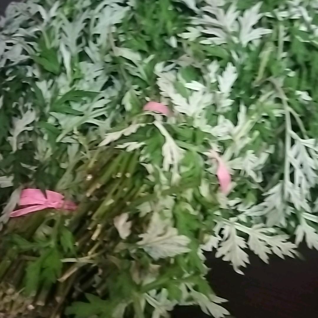 晾晾