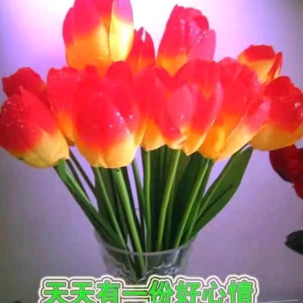 小土豆，
