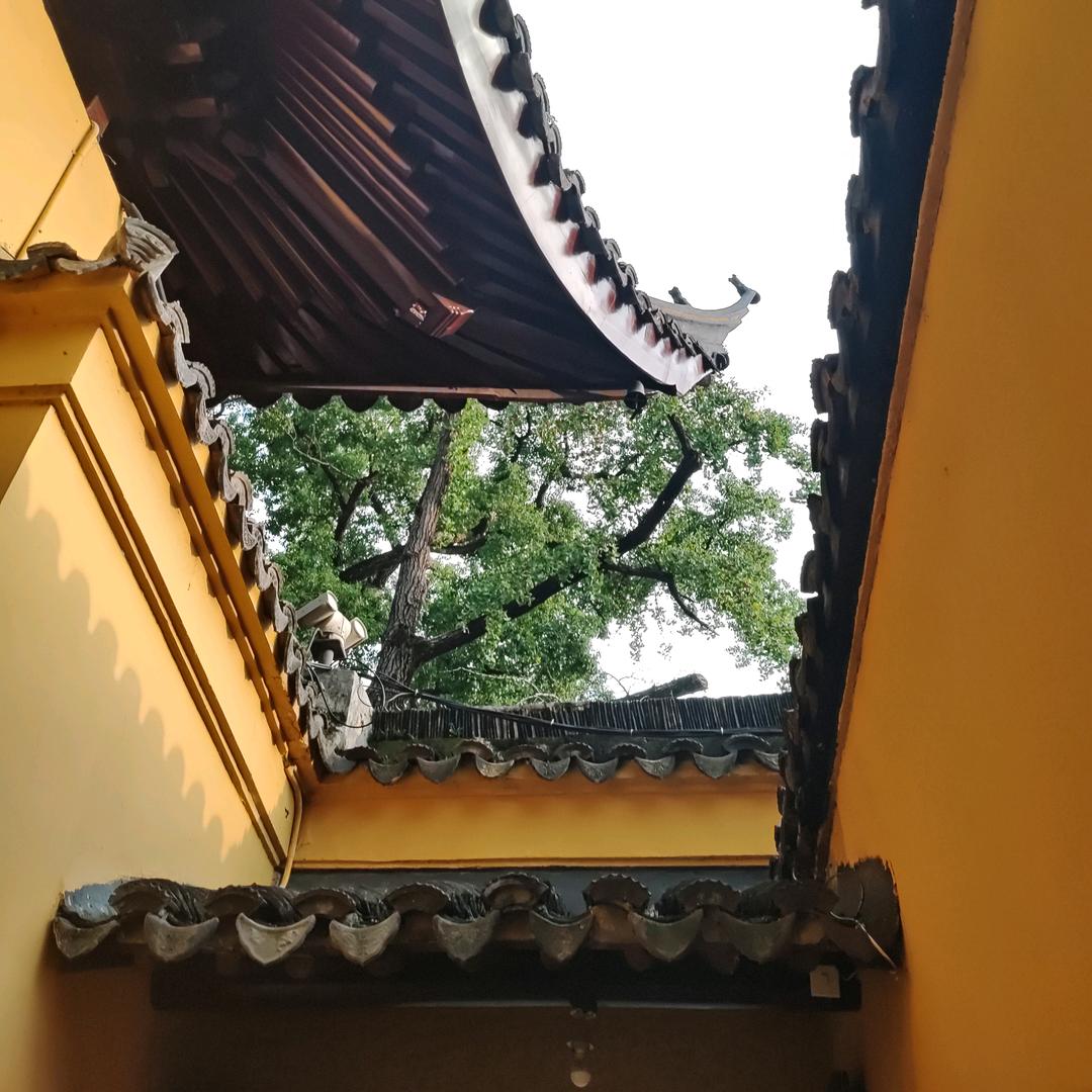紫琅浪人