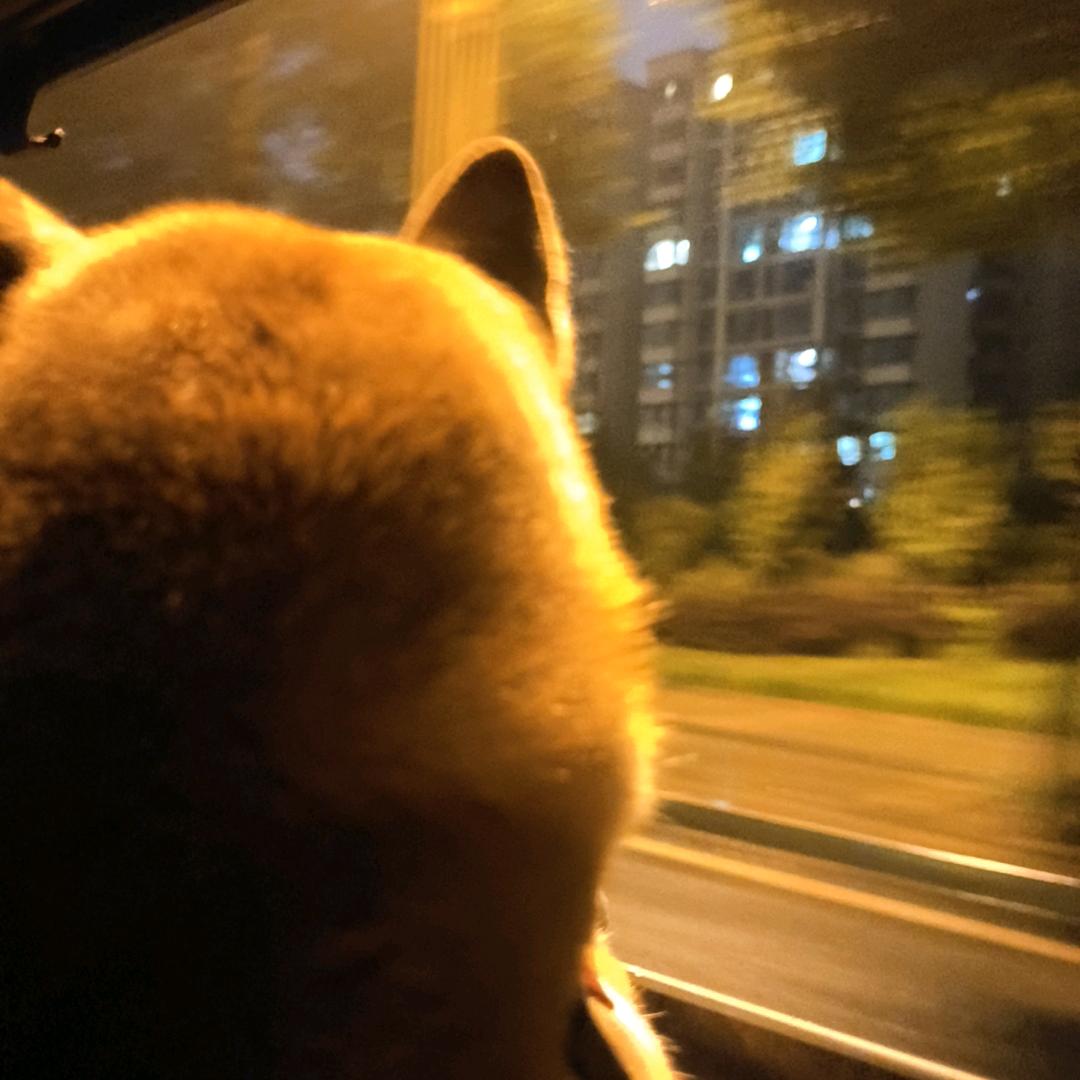 筠非筠