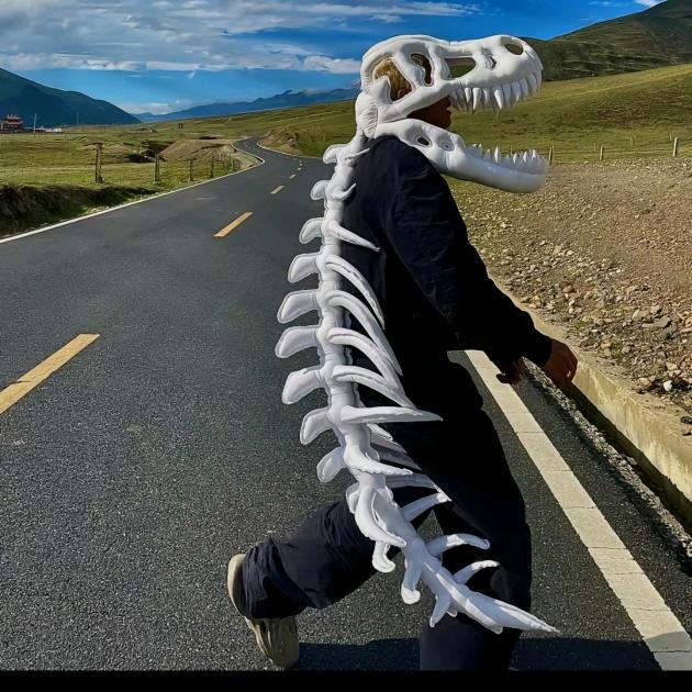 两足直立的碳基生命体