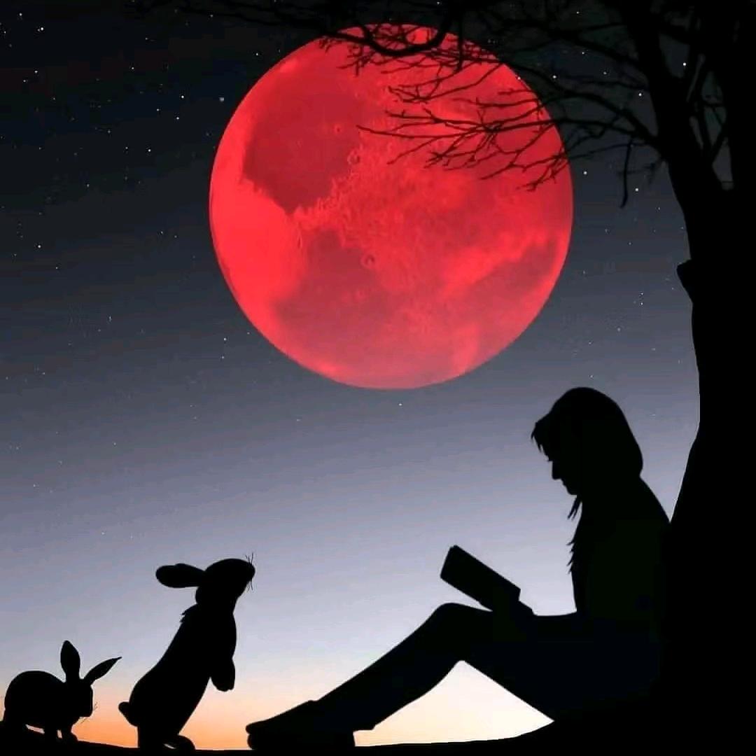 从月亮走向月亮