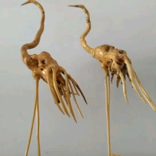柏香韵阁_