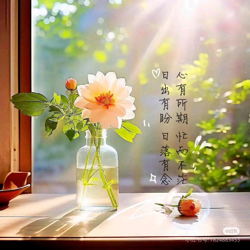 菲👨‍👩‍👧‍👦