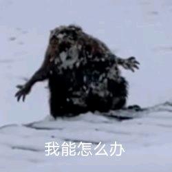 啷个偷饭吃嘞?