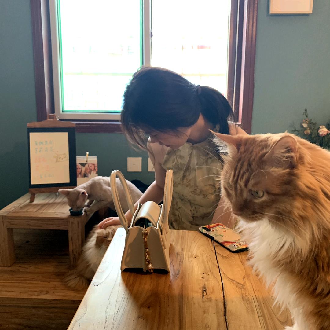 小鹿不爱吃汉堡