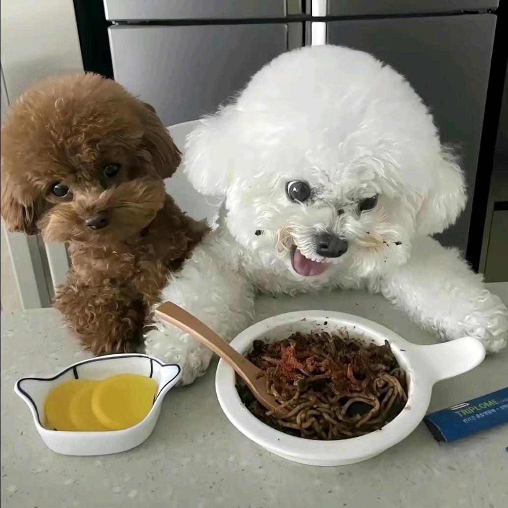 蹲蹲家潮玩