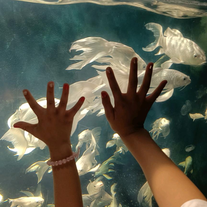 ᝰꫛꫀꪝ𐂂-碎冰冰