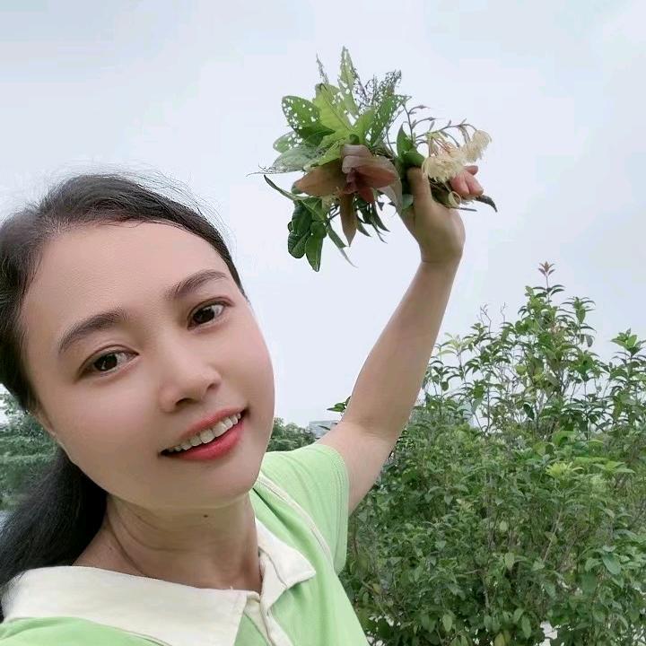 大洋葱妹小号5月12号早9:10首播