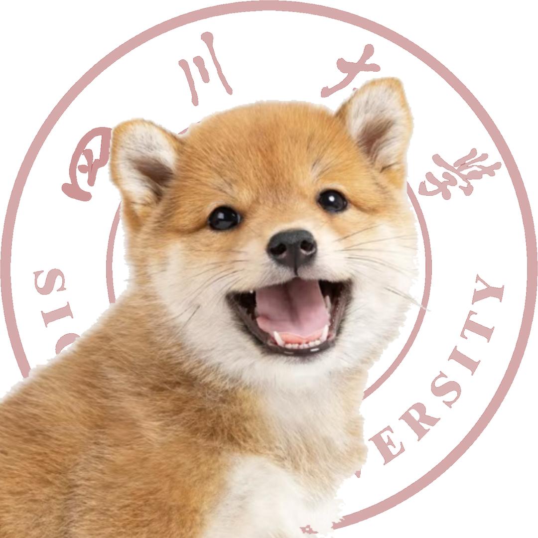 川大电电
