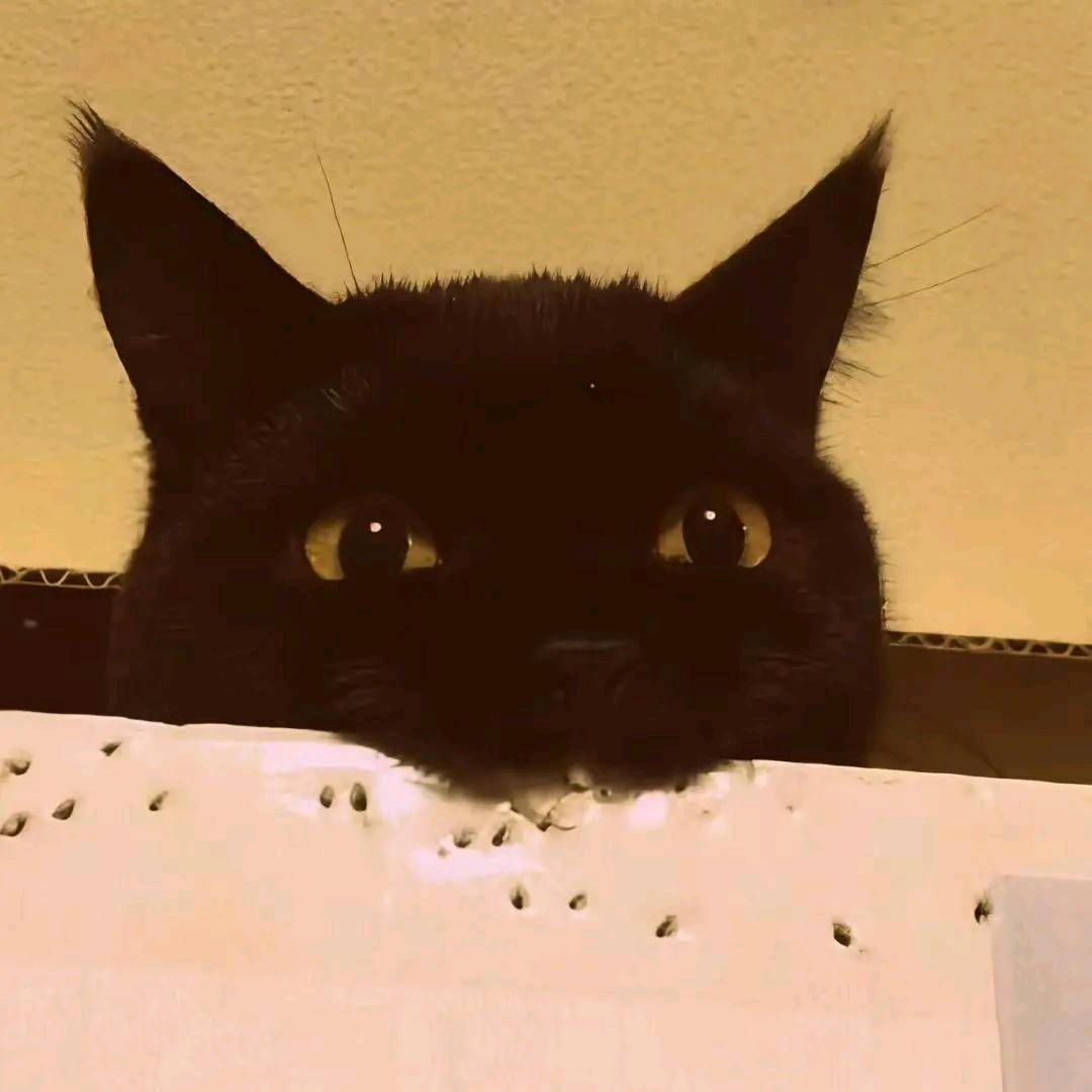 诀别诗.