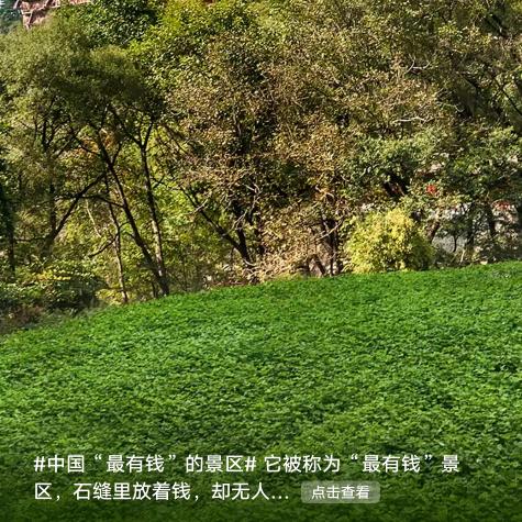 用户8635657205099