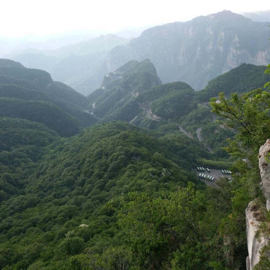冯三1