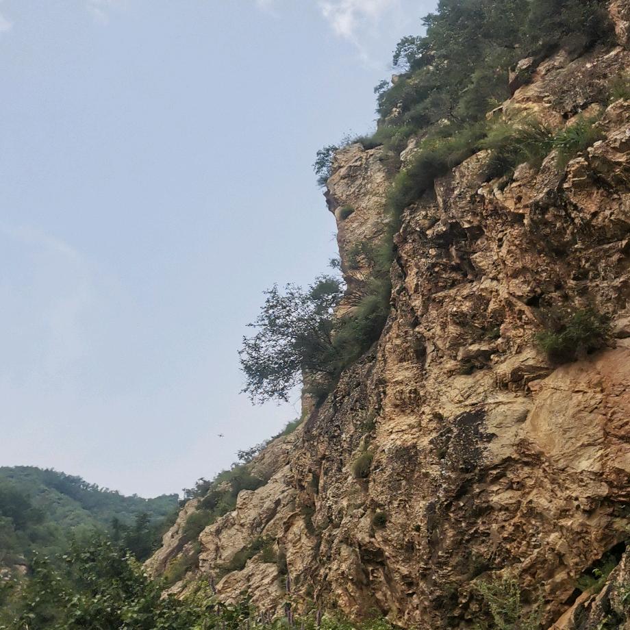 云想衣裳花想容