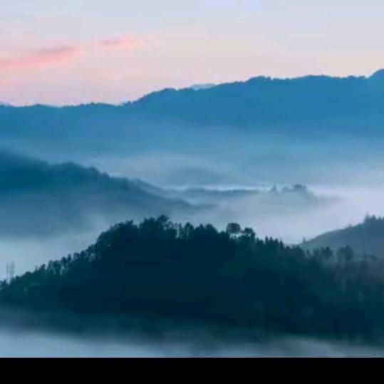 情深四海