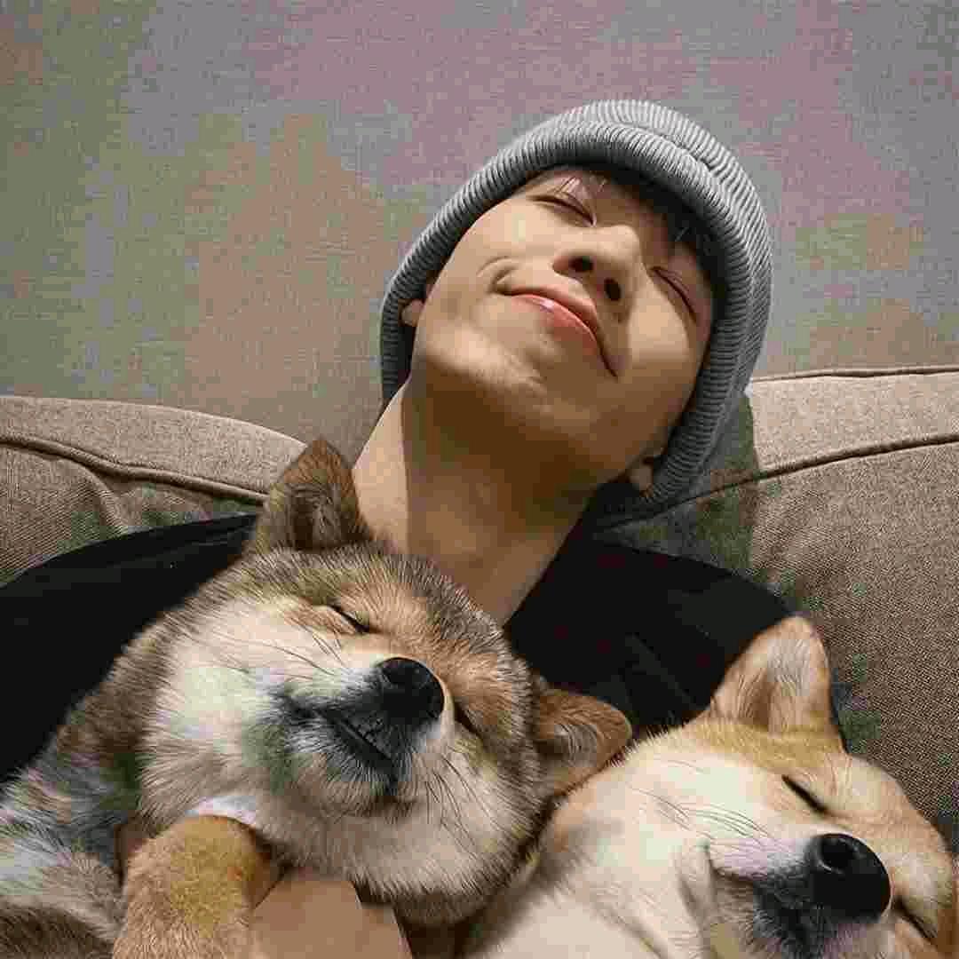 匆匆又夏天.🌳