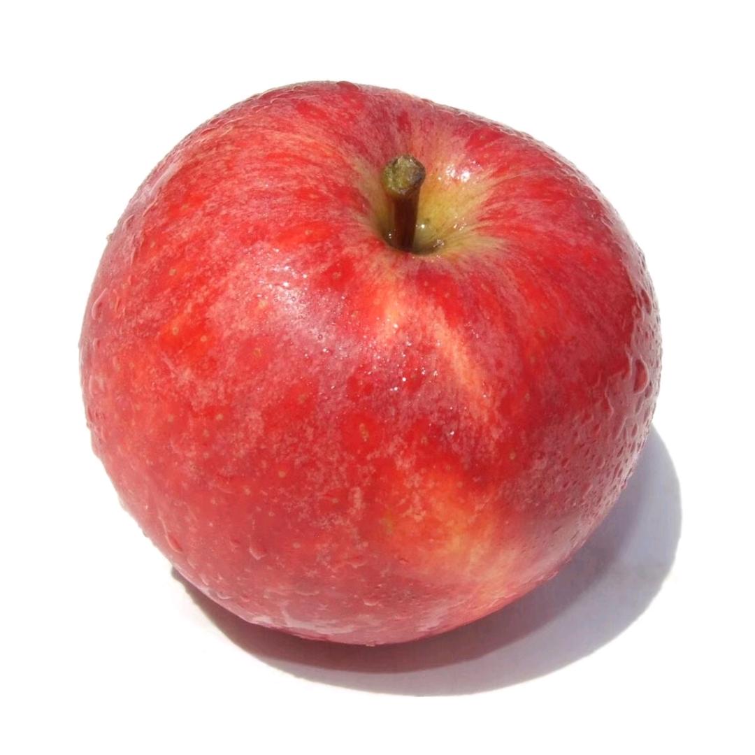 隔壁村的杨大妈