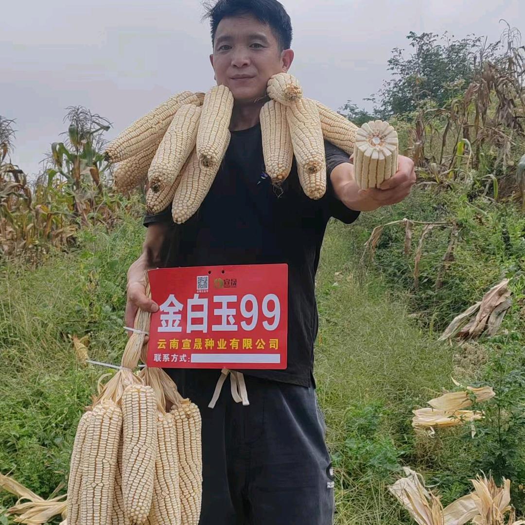 诚信交友（大方胡长军农资经营部）