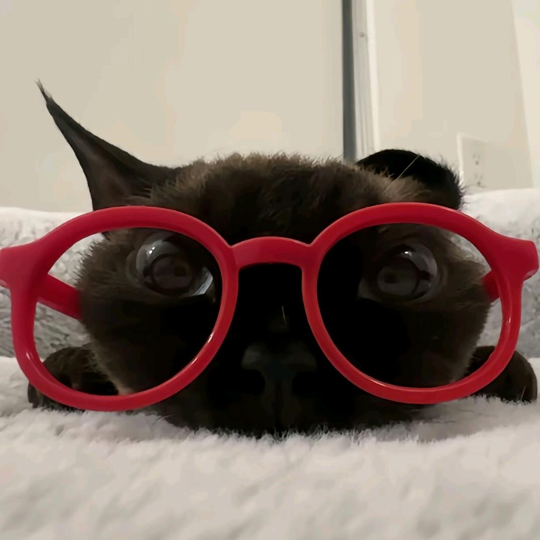 高远M（和王源跨年版）